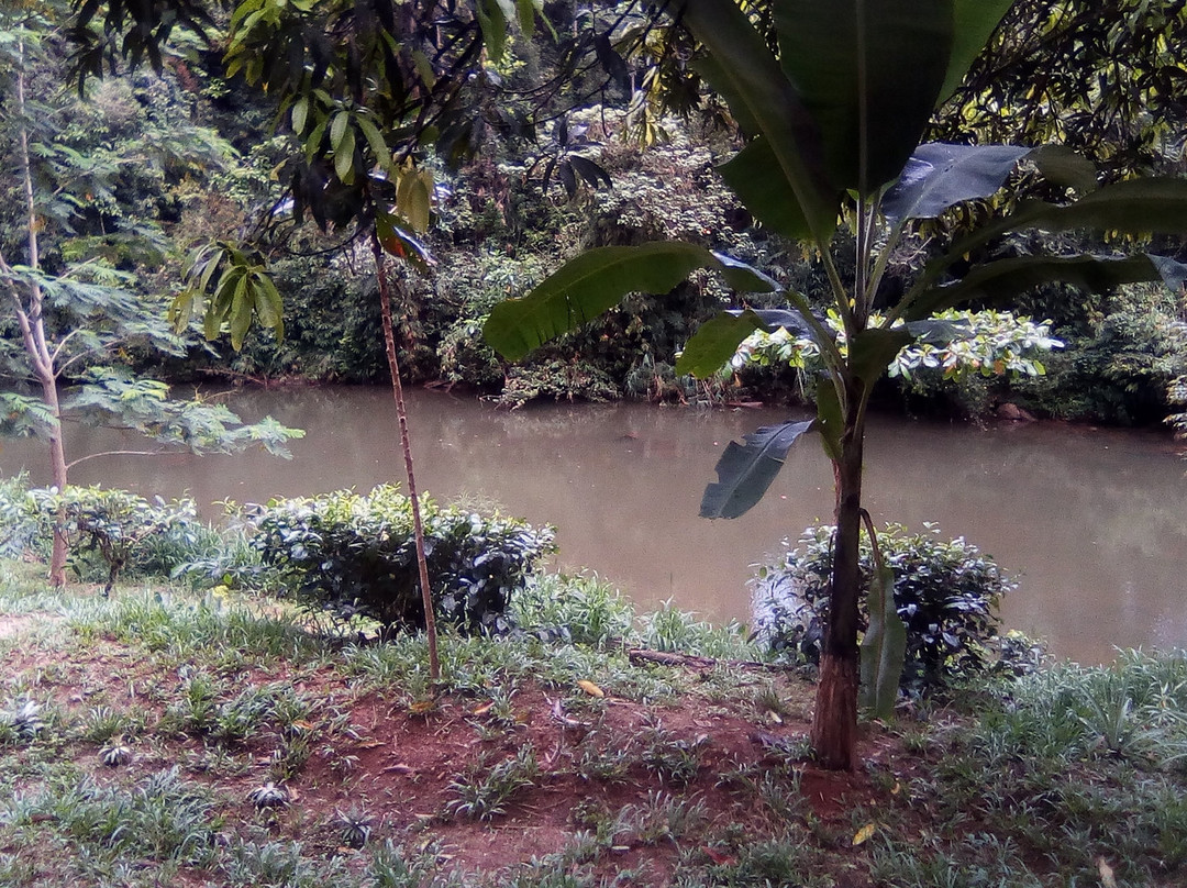 Sinharaja Vini Villa主图