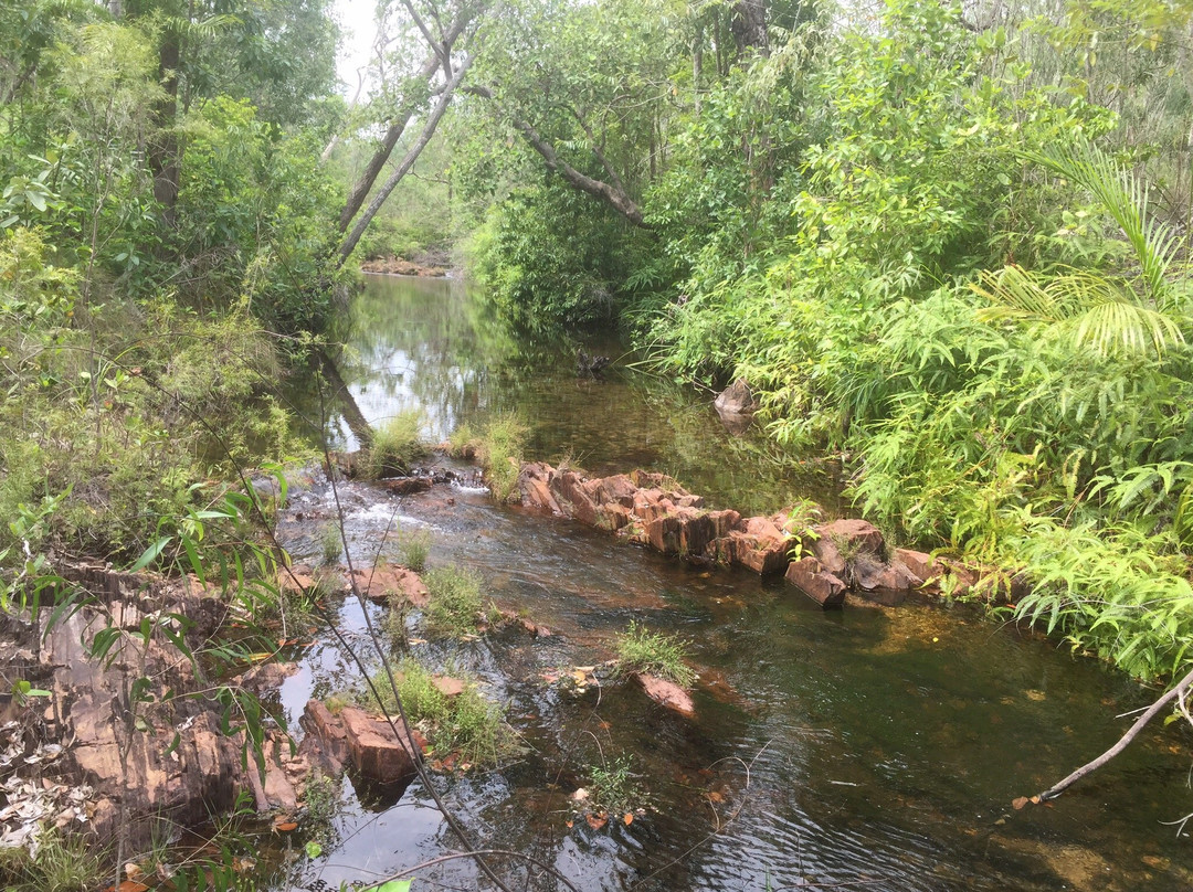 Walker Creek-Litchfield National Park必去景点