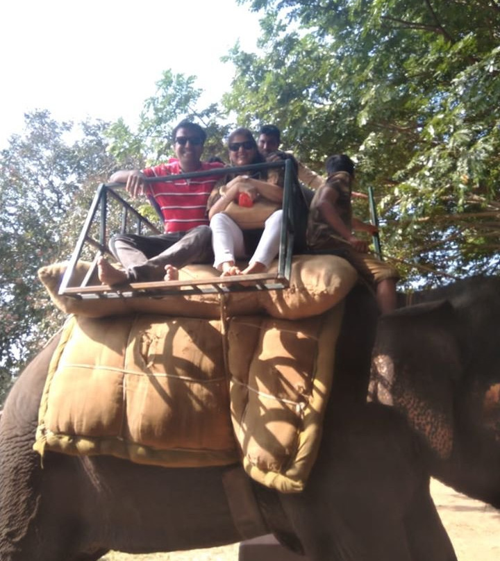 Sakrebailu Elephant Camp景点图片
