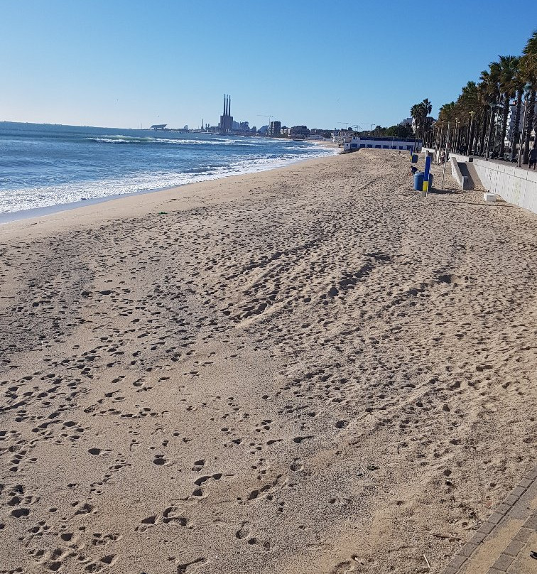 Platja del Cristall-巴达洛纳必去景点