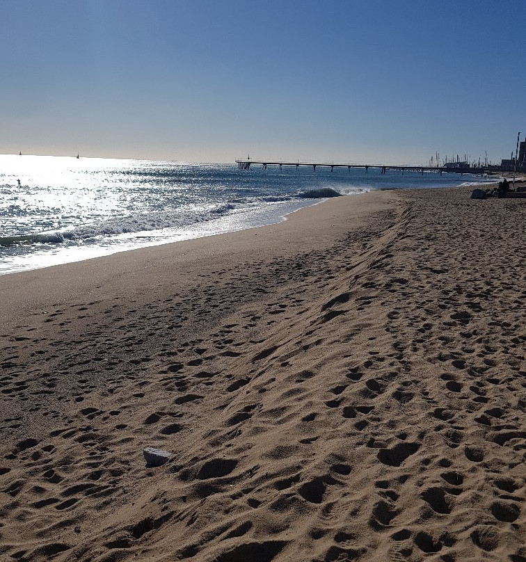 Playa de la Estacion景点图片