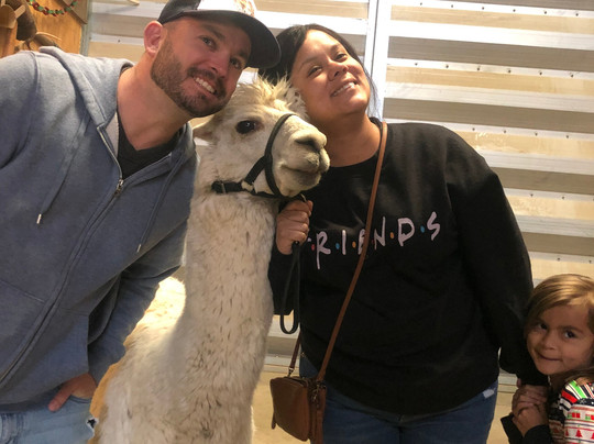 Alpacas of the Southwest-金曼必去景点