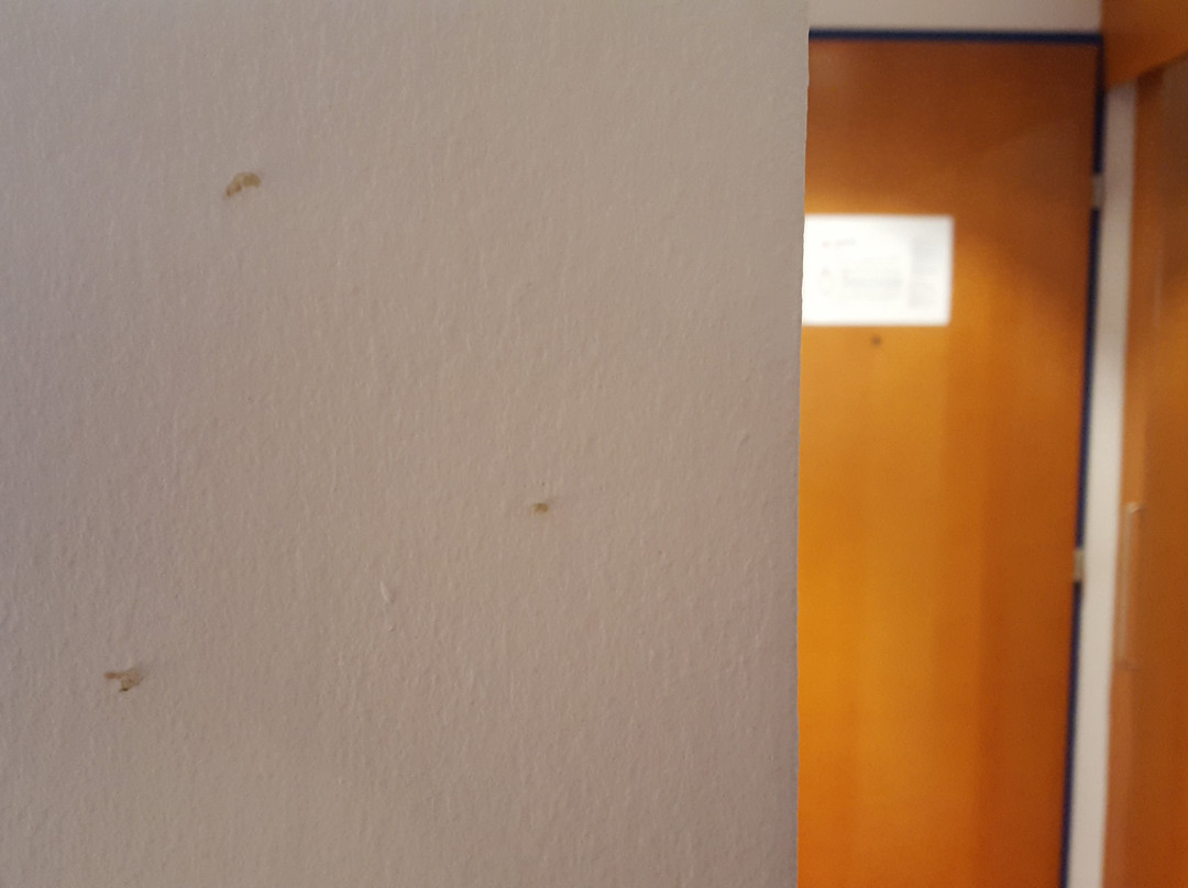 奥地利潮流酒店萨尔斯堡店主图