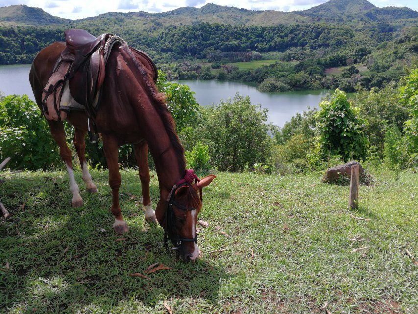 Ambaro Ranch景点图片