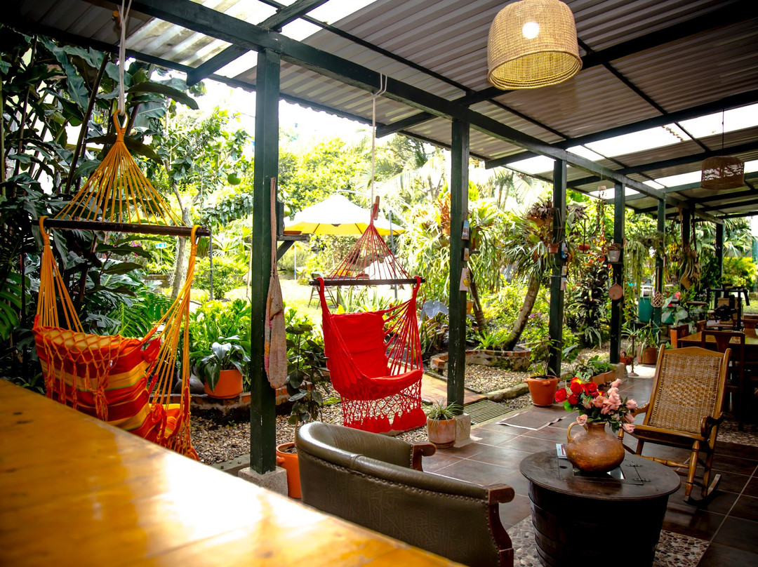 Posada Las Bromelias主图