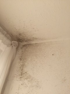 梅南修道院酒店主图