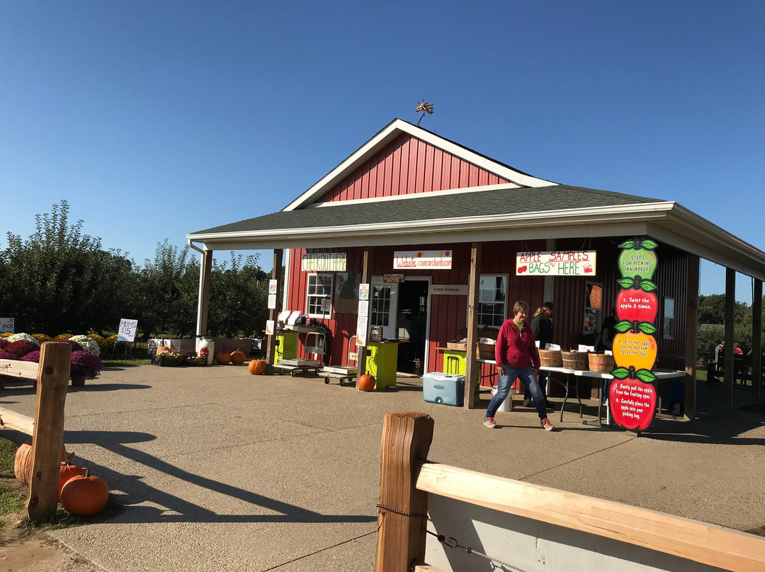 Crane Orchards Upick and Corn Maze景点图片