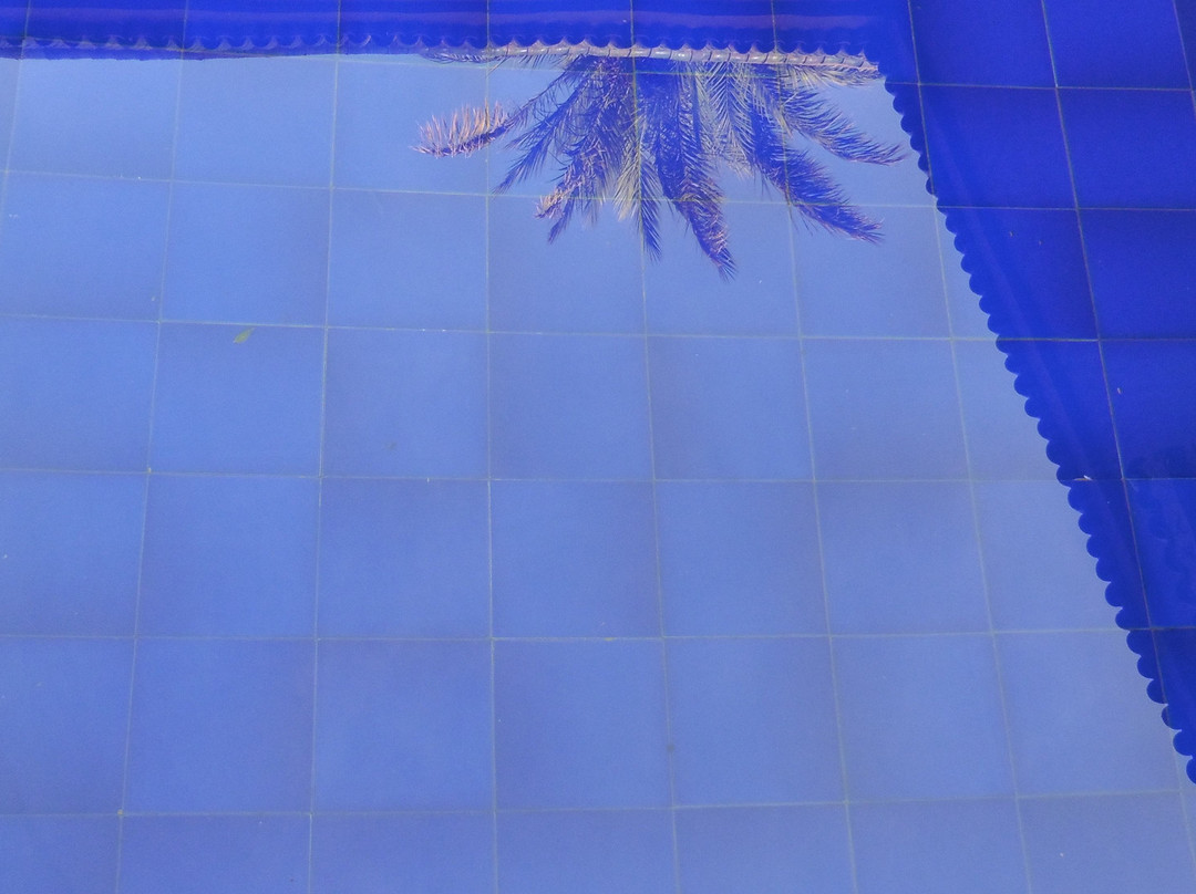 Le Sauvage Noble主图