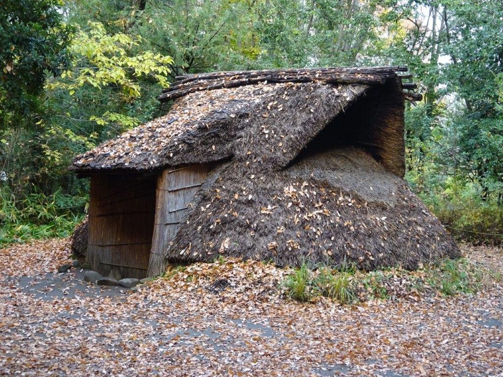 Tokyo Metropolitan Archaeological Center-多摩市必去景点