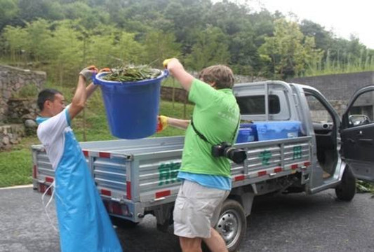 panda volunteering  and photo taking-都江堰市必去景点