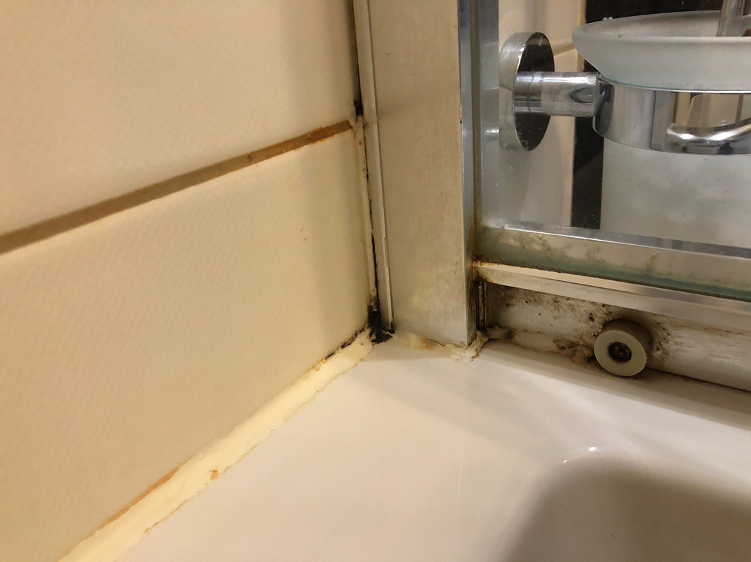 Hotel Trzebnica主图