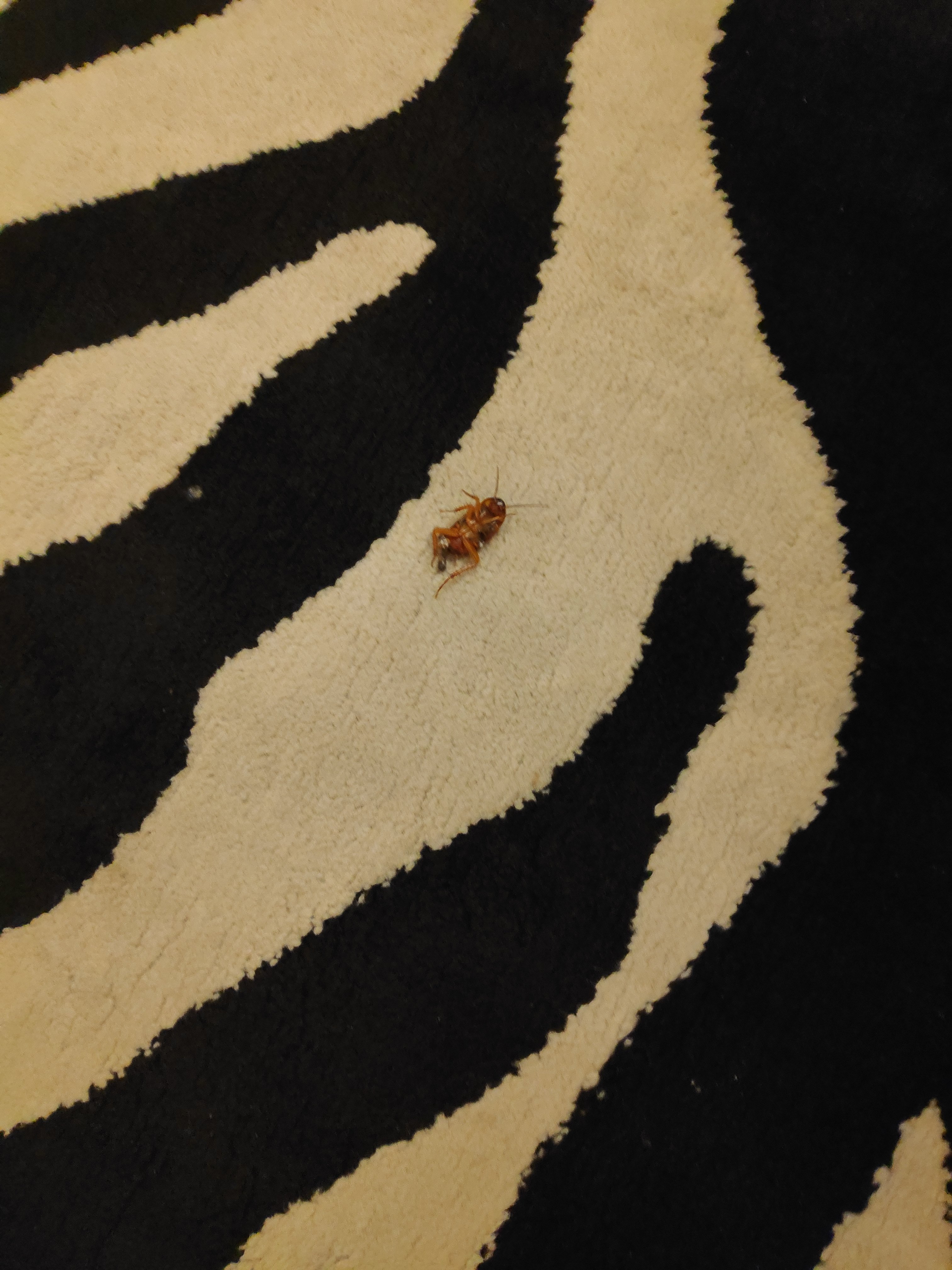 Leonardo Boutique Hotel Tel Aviv-portrait