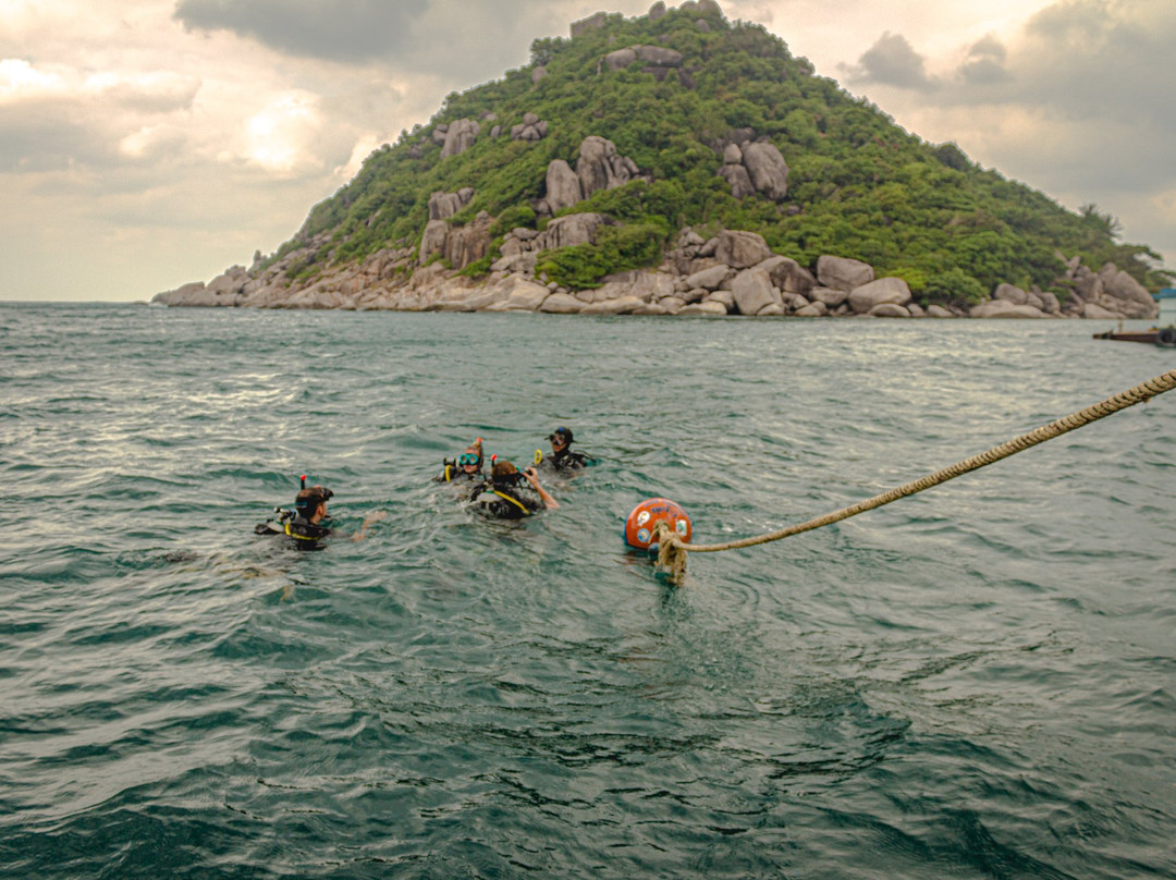 Koh Tao Diving Academy-涛岛必去景点