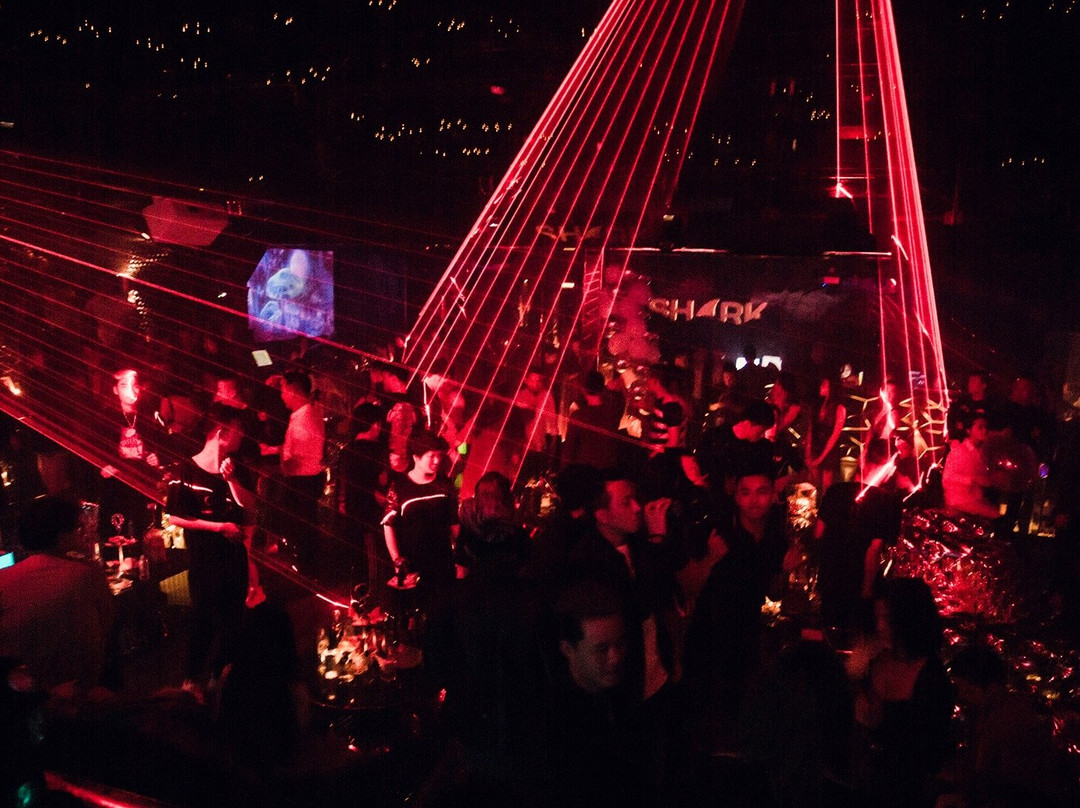 Shark Club Hanoi-河内必去景点