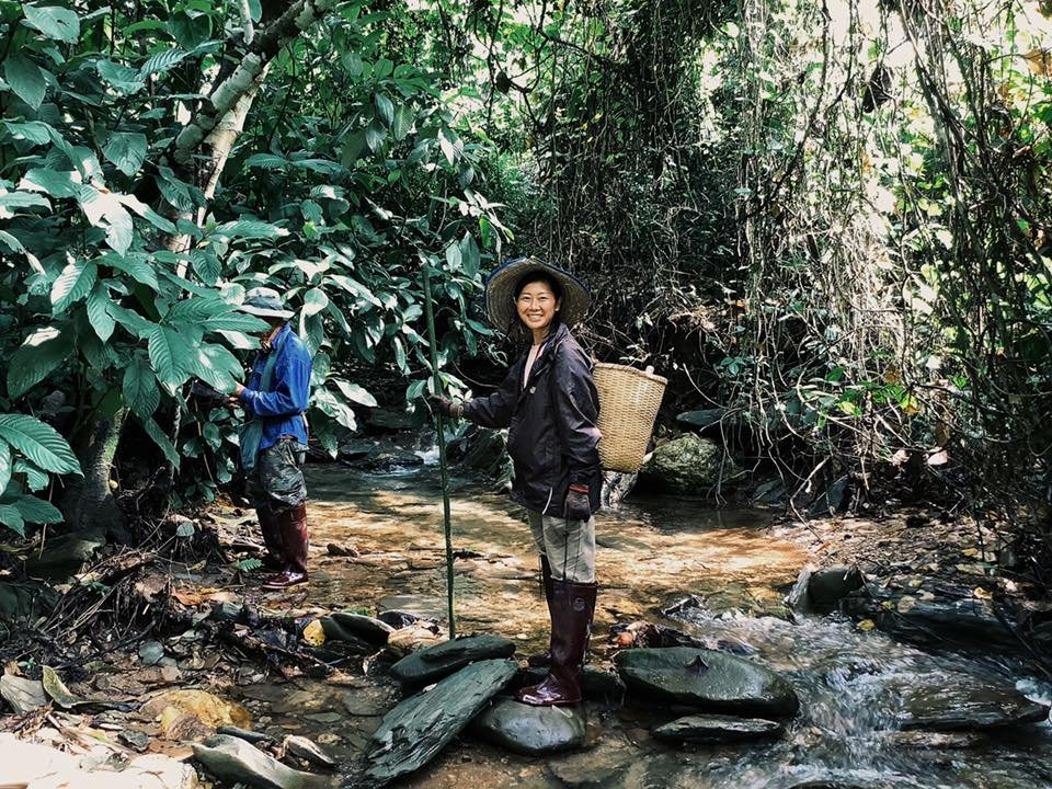 DaiDib DaiDee Permaculture Thailand景点图片