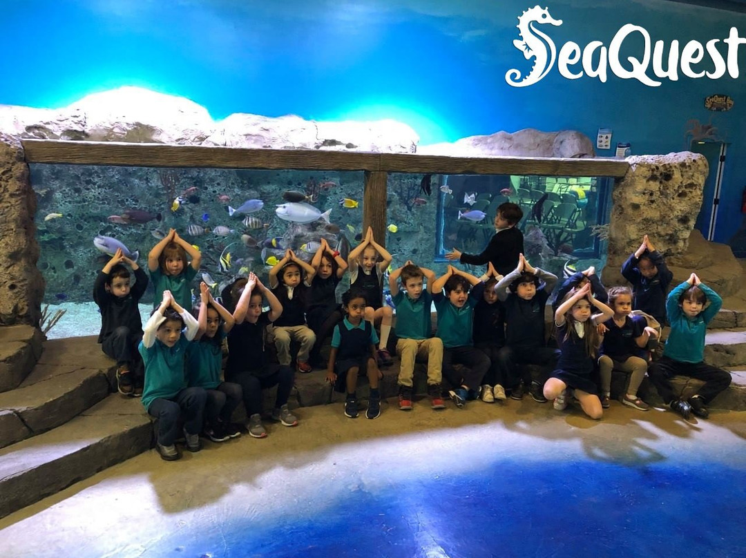 Woodbridge Aquarium & Wildlife Center-伍德布里奇必去景点