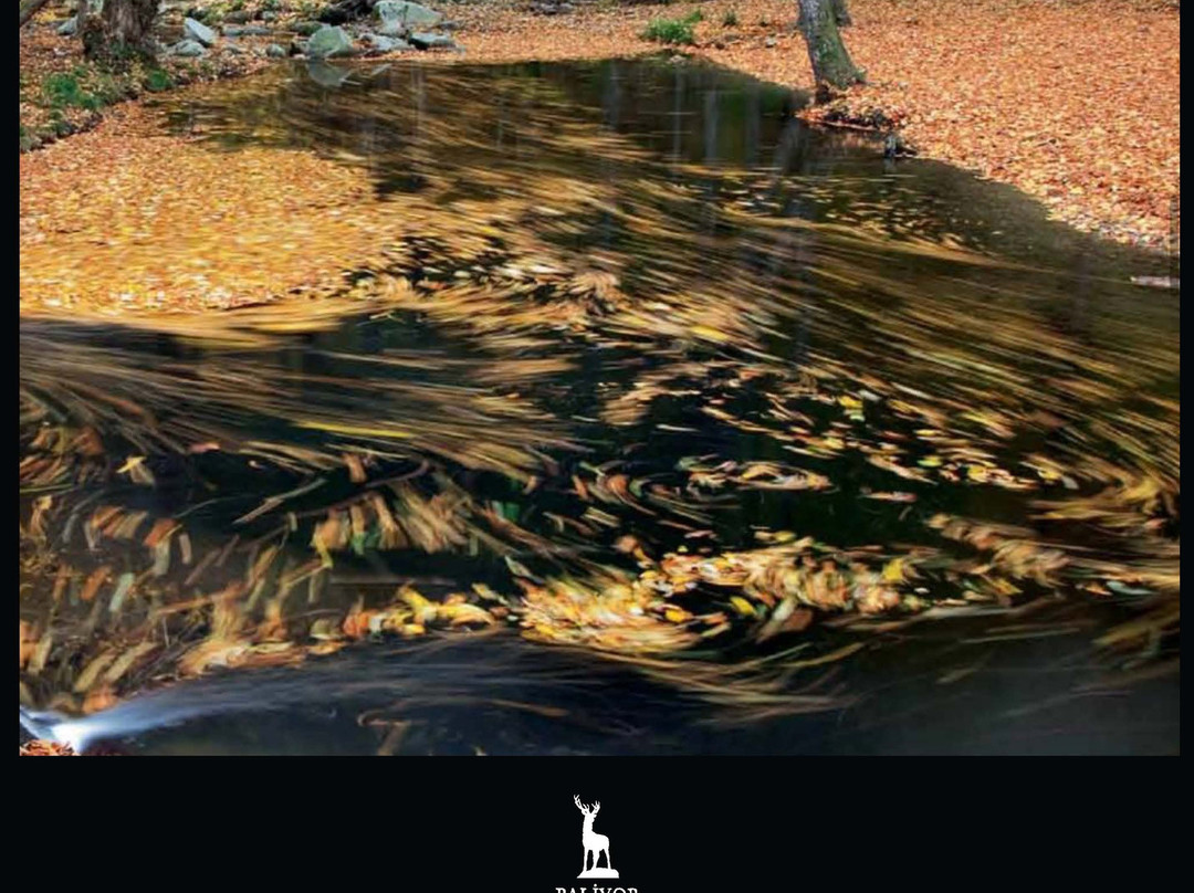 Palivor Ciftligi主图