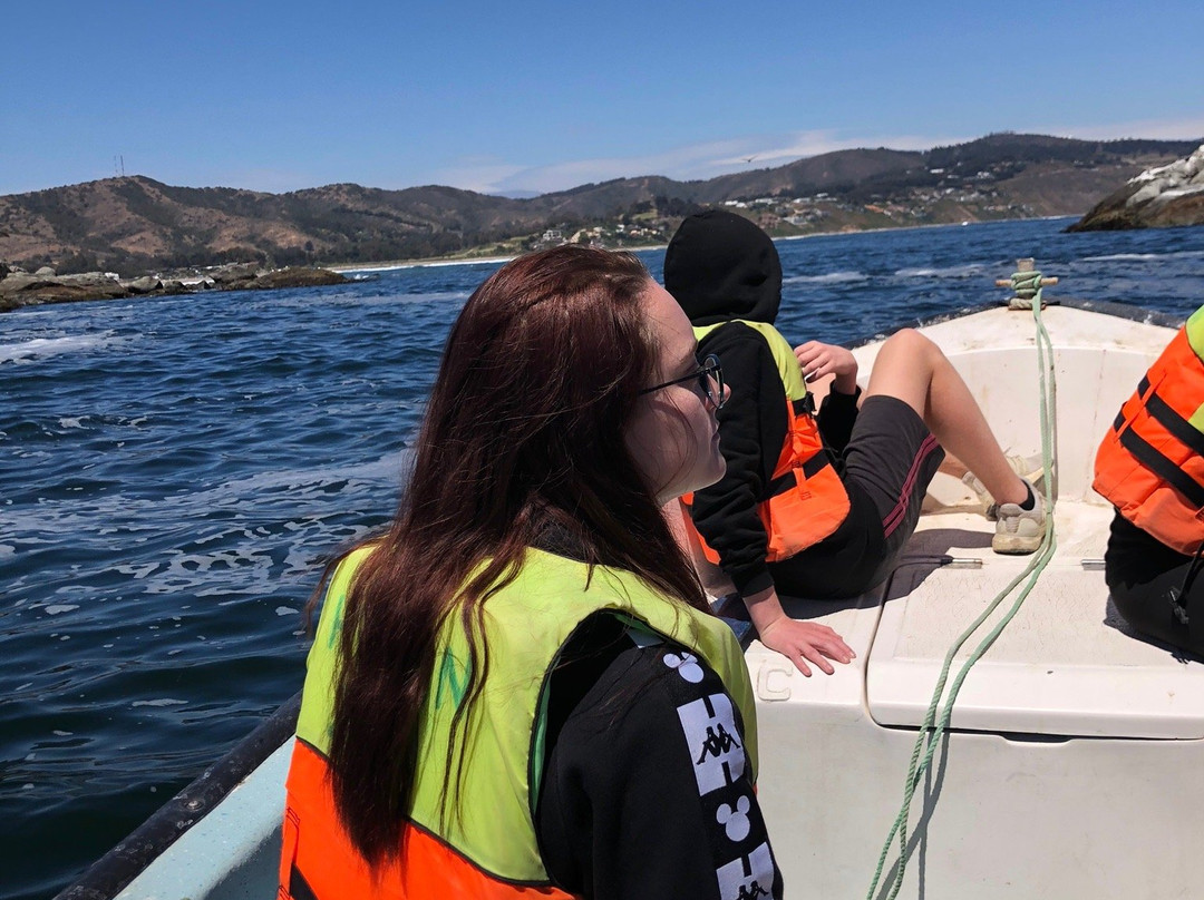 Isla Cachagua-萨帕亚尔必去景点