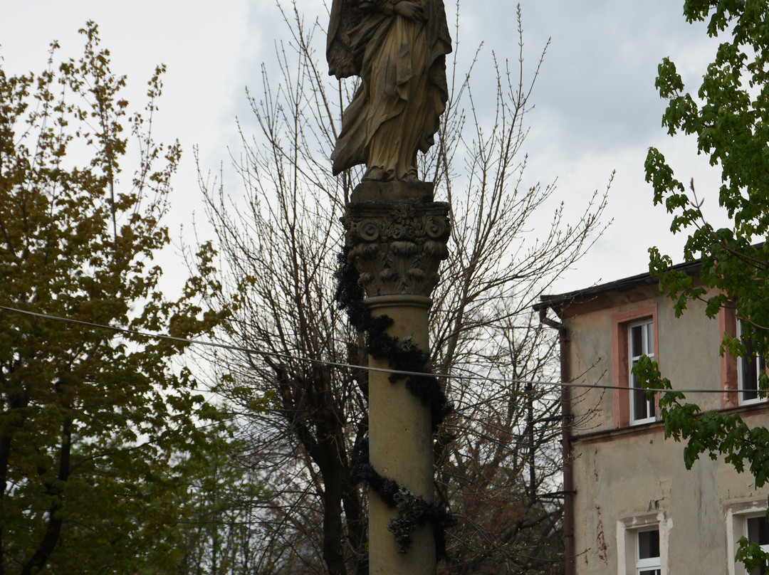 Kosciol Wniebowziecia Najswietszej Maryi Panny景点图片