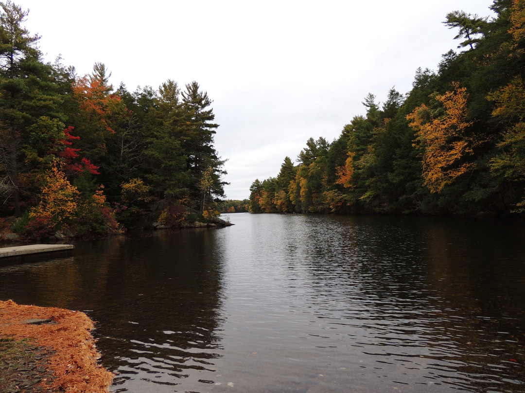 Bigelow Hollow State Park景点图片