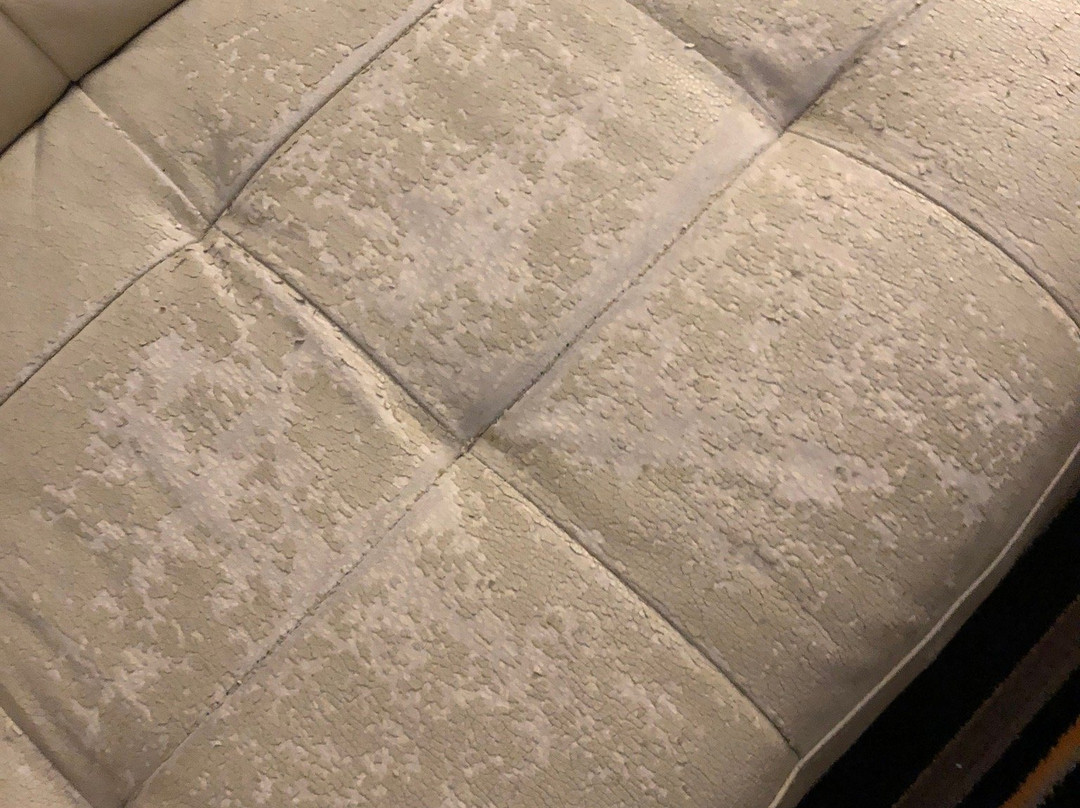 Comfort Suites Mandeville - Covington主图