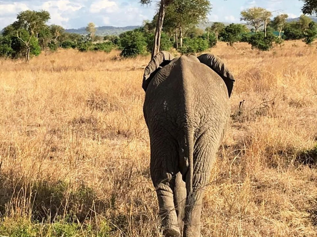 Wildtrip Safaris-Dar es Salaam必去景点