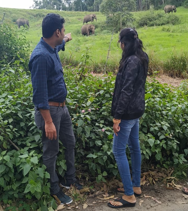 Munnar Angel Cabs景点图片