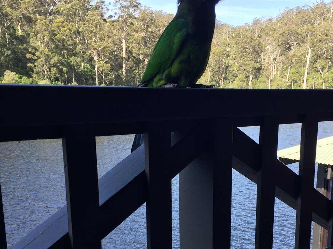 Riverwood Retreat主图