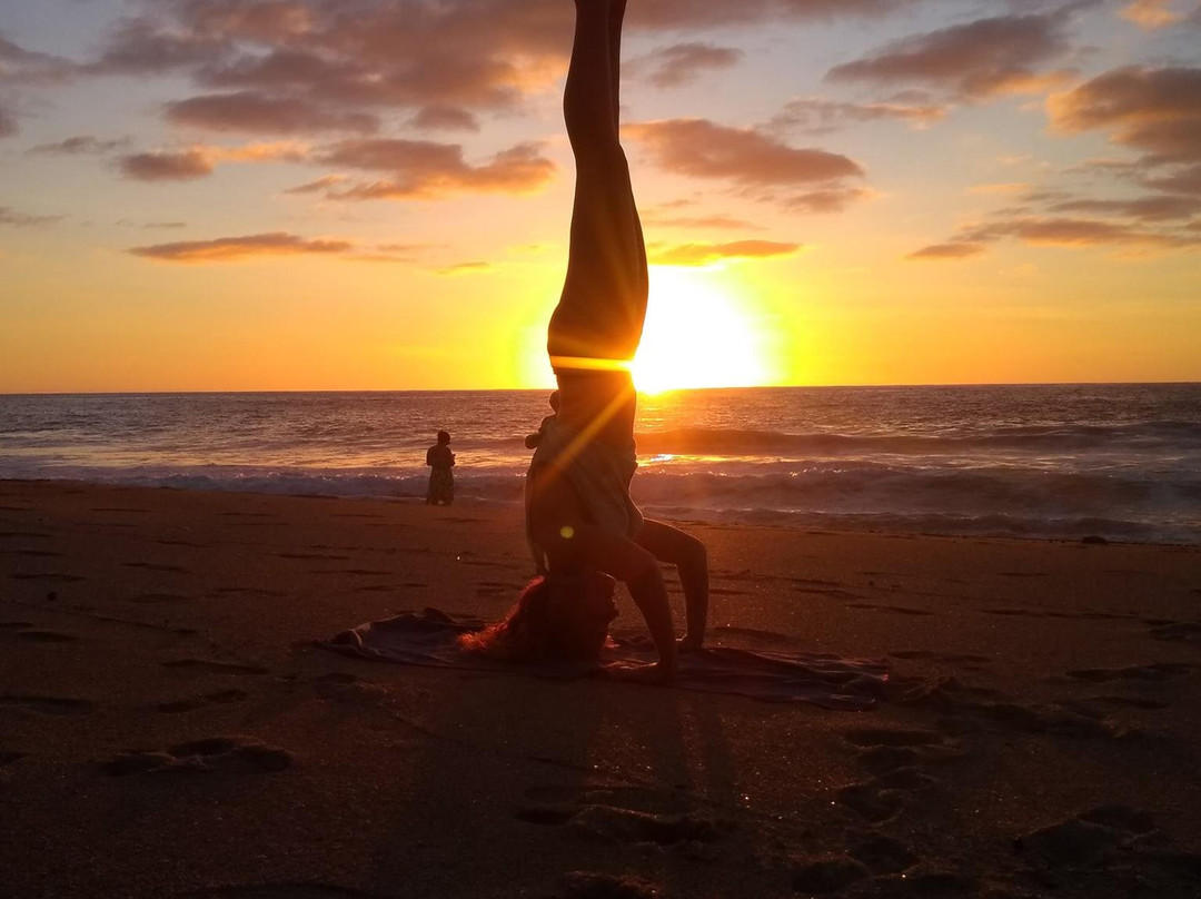 Sayulita Beach-利他必去景点