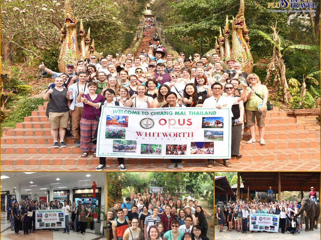 Asian Plus Travel-清迈必去景点