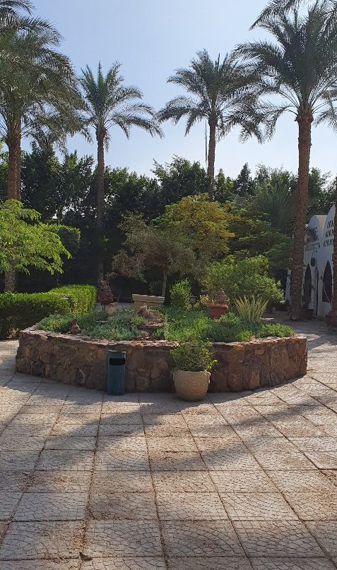 Sakkara Country Club主图