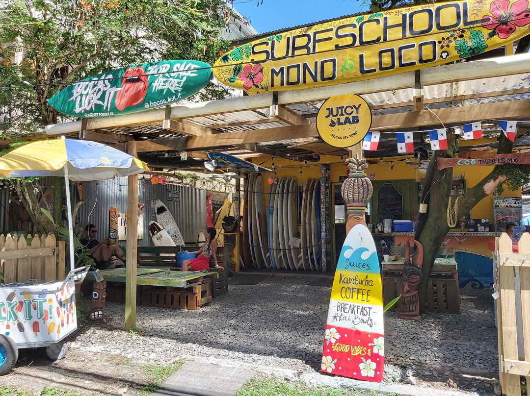 Mono Loco Surf School景点图片