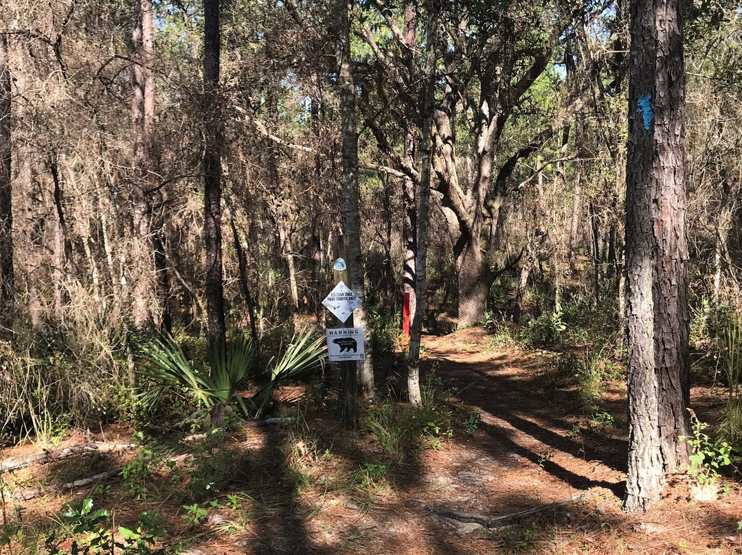 Landbridge Trailhead-奥卡拉必去景点