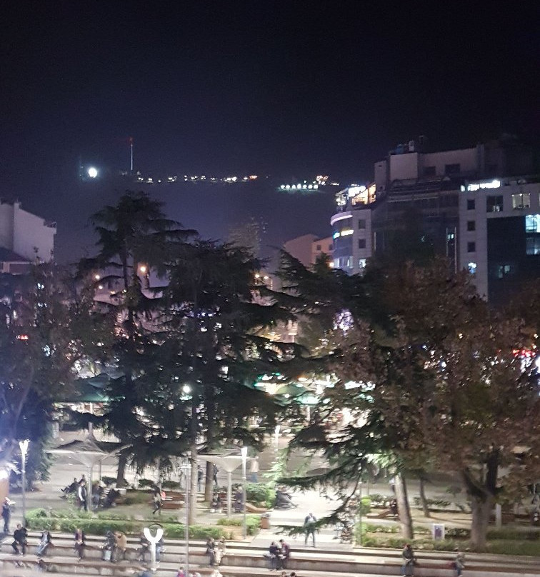 Trabzon Meydan Parki景点图片