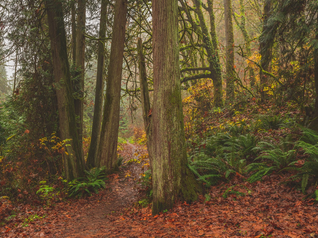 O. O. Denny Park-柯克兰必去景点