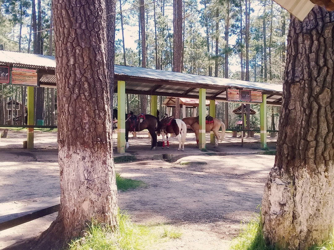 Grutas de Rancho Nuevo景点图片