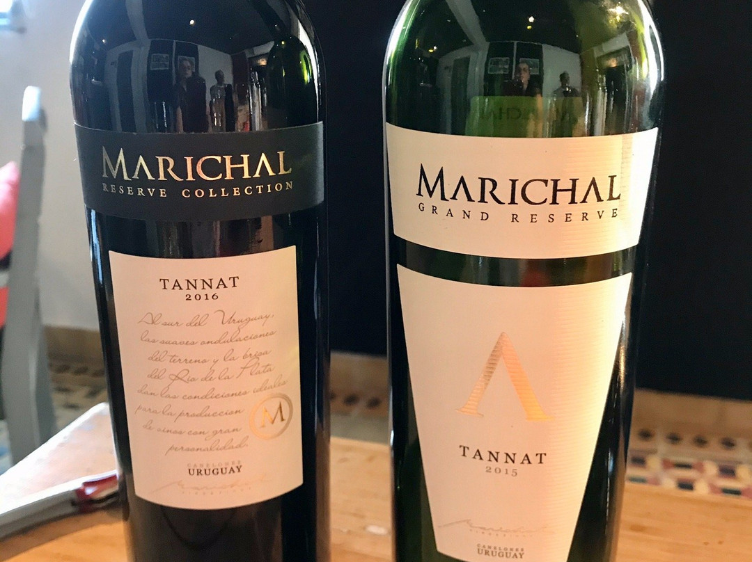 Marichal Uruguay-Canelones必去景点