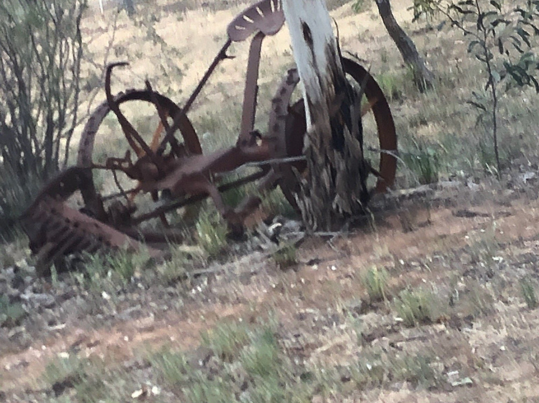 Wedderburn Reservoir Track-Wedderburn必去景点
