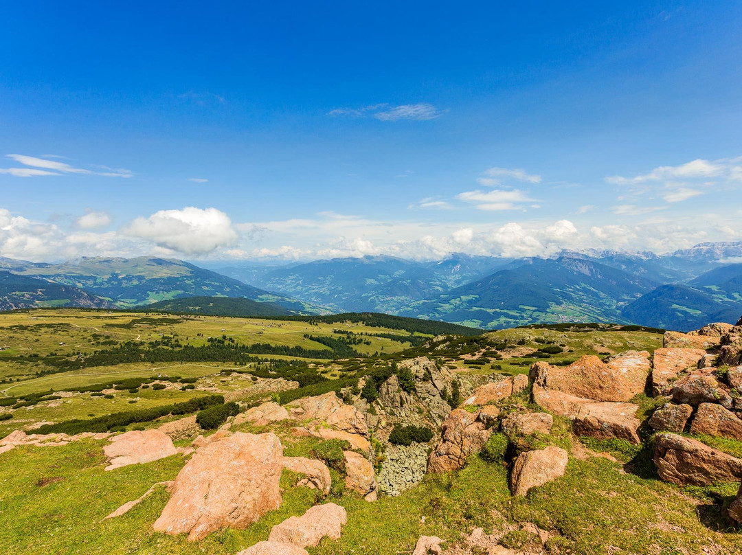 Gasthof Lamm beim schiefen Turm主图