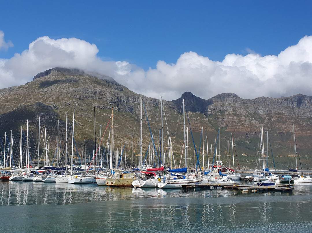 Western Tours and Transfers-开普敦中心区必去景点