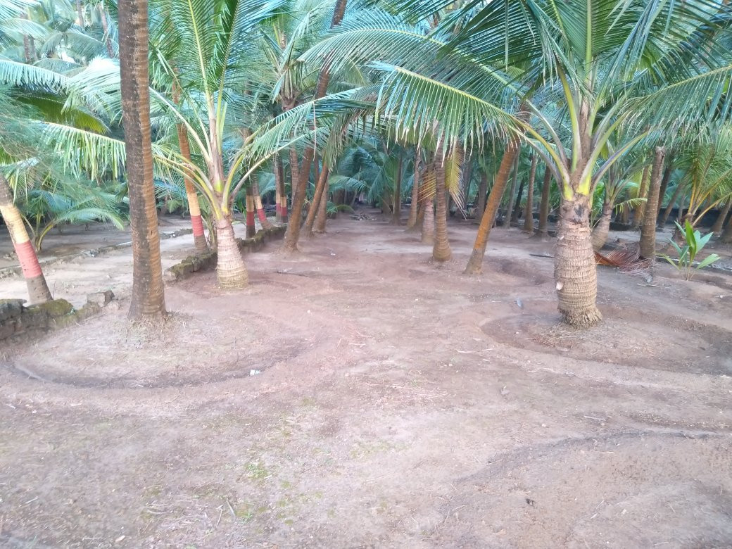 Osari Homestay主图