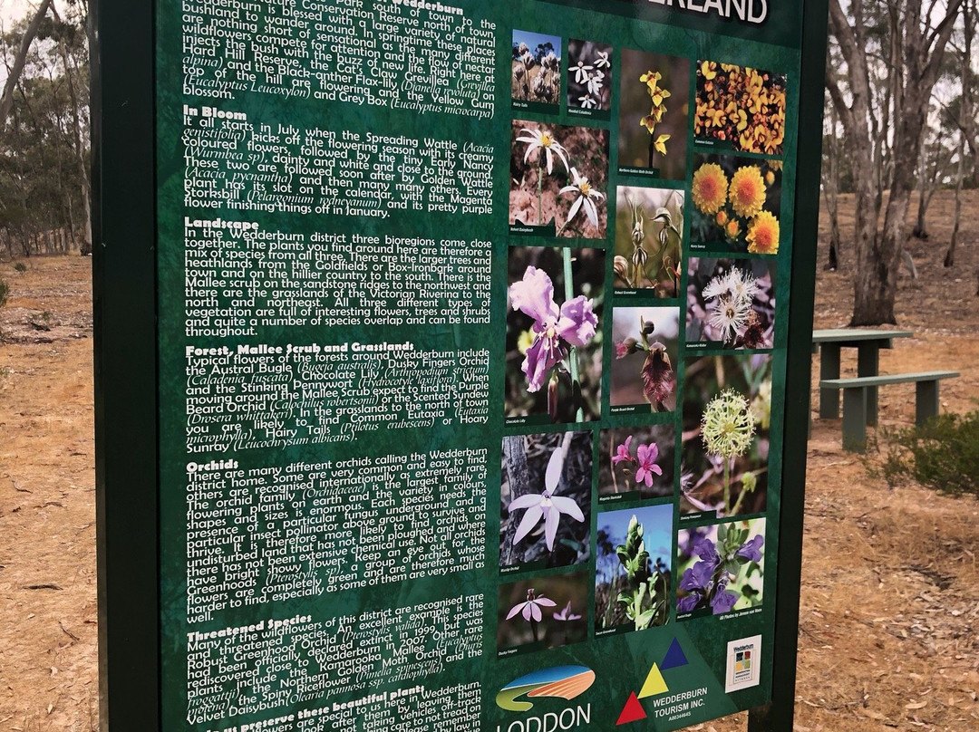 Hard Hill Tourist Reserve-Wedderburn必去景点