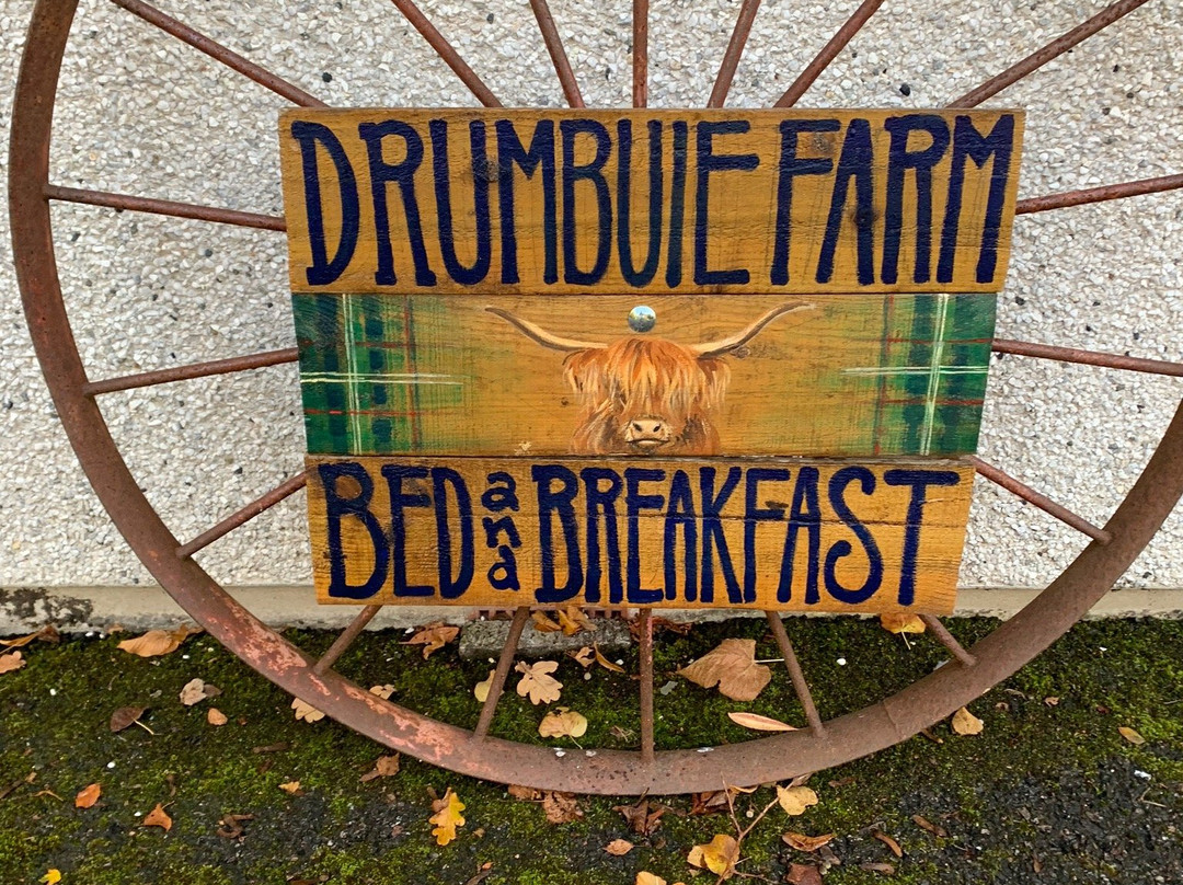 Drumbuie Farm主图