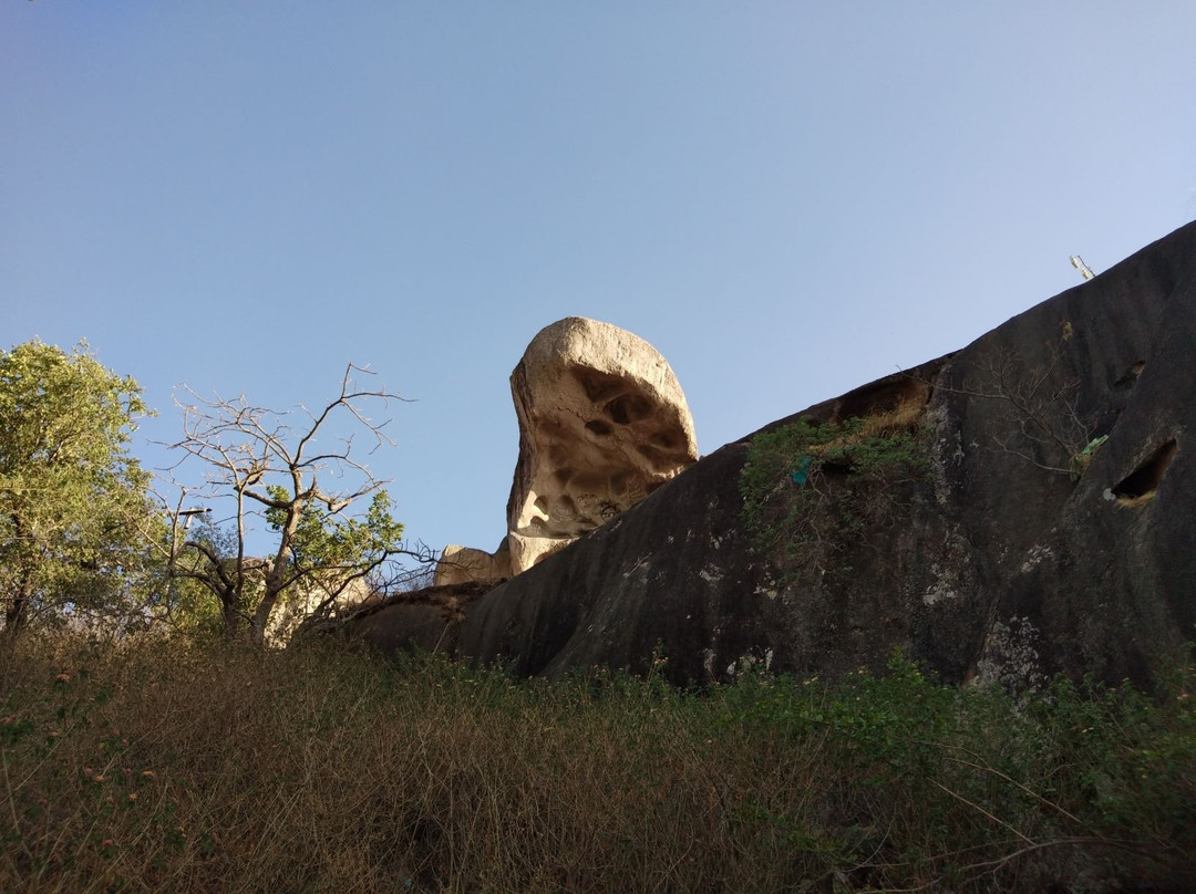 Toad Rock景点图片