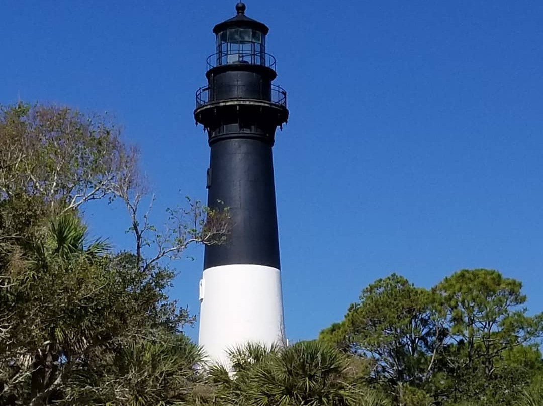 Hunting Island State Park景点图片