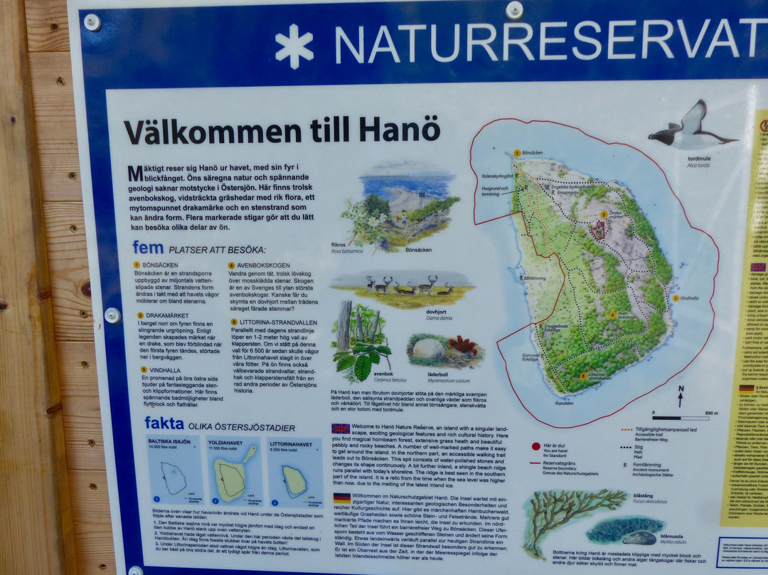 Hano Island-Sölvesborg必去景点