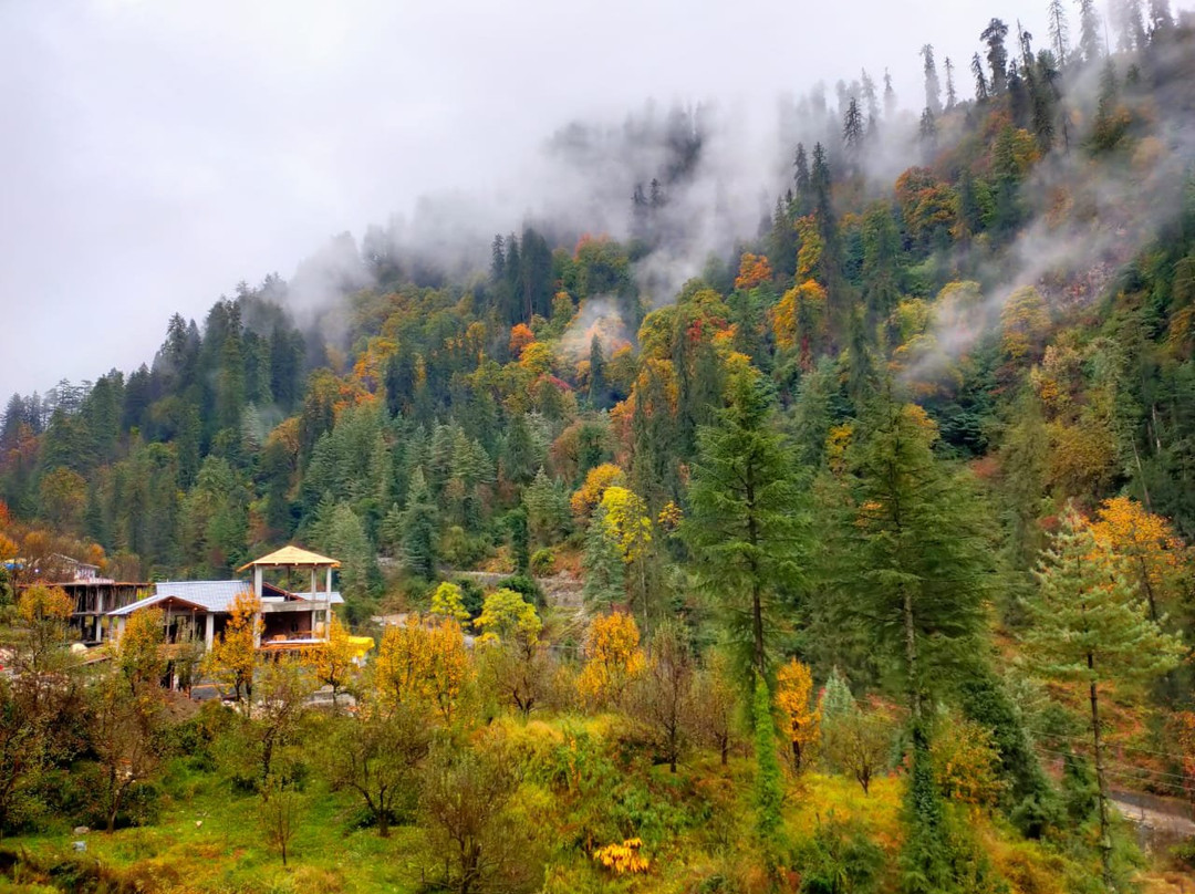 Riverdale Cottage and Cafe Jibhi