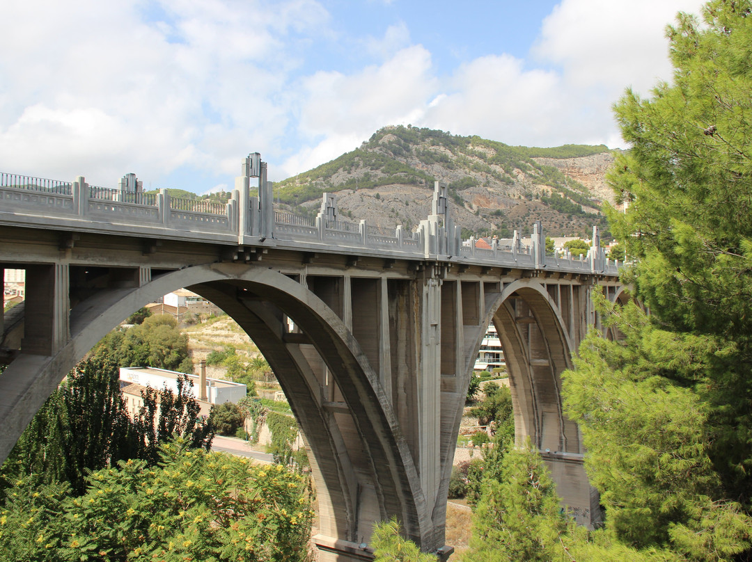 San Jorge Bridge景点图片