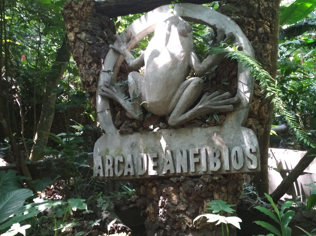 Zoológico Miguel Álvarez del Toro景点图片