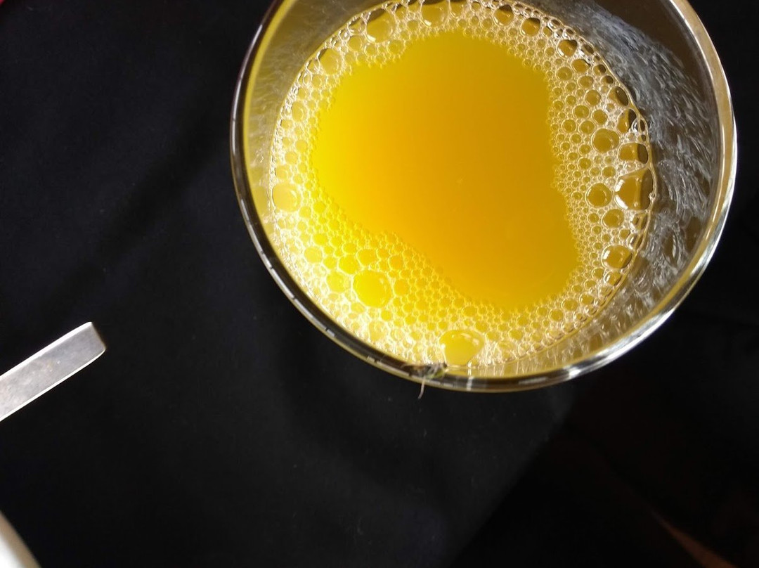 Vatika Premier Hotel主图